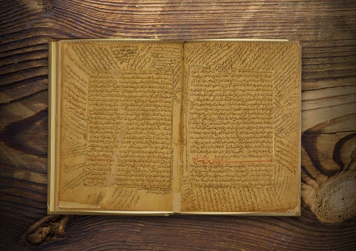 En-Nüzhetü’l-Mübhice Fî Teşhîzi’l-Ezhân Ve Ta‘Dîli’l-Emzice